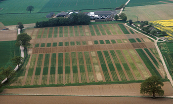 Aerial view of Broadbalk experiments