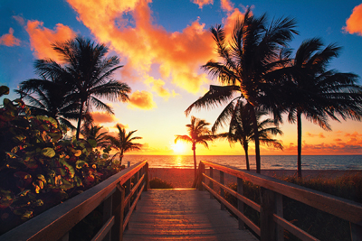 Hollywood Beach courtesy of the Ft. Lauderdale Convention & Visitors Bureau