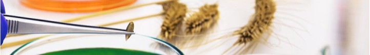 LPRP Banner